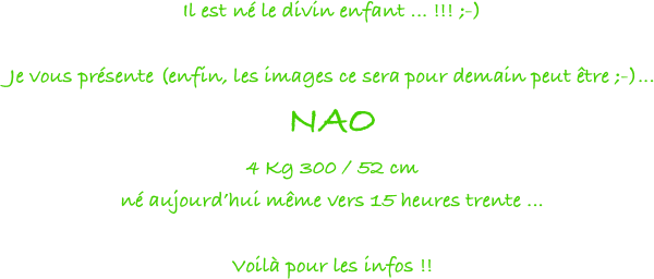 Il est né le divin enfant ... !!! ;-)

Je vous présente (enfin, les images ce sera pour demain peut être ;-)... 
NAO 
4 Kg 300 / 52 cm
né aujourd’hui même vers 15 heures trente ... 

Voilà pour les infos !!