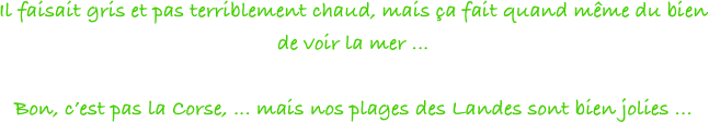 Il faisait gris et pas terriblement chaud, mais ça fait quand même du bien de voir la mer ... 

Bon, c’est pas la Corse, ... mais nos plages des Landes sont bien jolies ... 