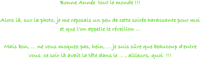 Bonne Année  tout le monde !!!
  
Alors là, sur la photo, je me reposais un peu de cette soirée harassante pour moi et que l'on appelle le réveillon ...
 
Mais bon, ... ne vous moquez pas, hein, ... je suis sûre que beaucoup d'entre vous  ce soir là avait la tête dans le ... , ailleurs, quoi  !!!