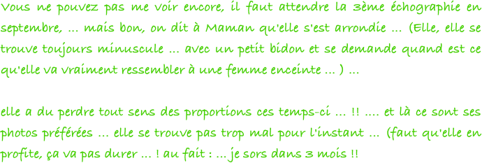 Vous ne pouvez pas me voir encore, il faut attendre la 3ème échographie en septembre, ... mais bon, on dit à Maman qu'elle s'est arrondie ... (Elle, elle se trouve toujours minuscule ... avec un petit bidon et se demande quand est ce qu'elle va vraiment ressembler à une femme enceinte ... ) ...

elle a du perdre tout sens des proportions ces temps-ci ... !! .... et là ce sont ses photos préférées ... elle se trouve pas trop mal pour l'instant ... (faut qu'elle en profite, ça va pas durer ... ! au fait : ... je sors dans 3 mois !!