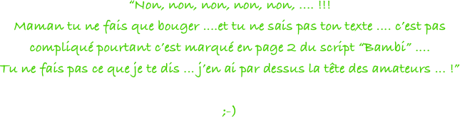 “Non, non, non, non, non, .... !!! 
Maman tu ne fais que bouger ....et tu ne sais pas ton texte .... c’est pas compliqué pourtant c’est marqué en page 2 du script “Bambi” ....
Tu ne fais pas ce que je te dis ... j’en ai par dessus la tête des amateurs ... !” 

;-)