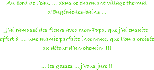 Au bord de l’eau, ... dans ce charmant village thermal d’Eugénie-les-bains ... 

J’ai ramassé des fleurs avec mon Papa, que j’ai ensuite offert à .... une mamie parfaite inconnue, que l’on a croisée au détour d’un chemin  !!! 

... les gosses ... j’vous jure !! 