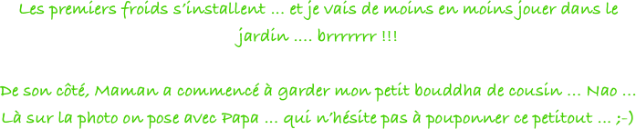 Les premiers froids s’installent ... et je vais de moins en moins jouer dans le jardin .... brrrrrrr !!!

De son côté, Maman a commencé à garder mon petit bouddha de cousin ... Nao ... 
Là sur la photo on pose avec Papa ... qui n’hésite pas à pouponner ce petitout ... ;-) 