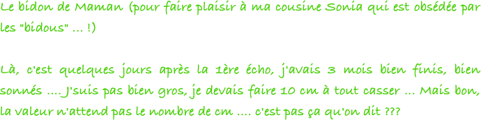 Le bidon de Maman (pour faire plaisir à ma cousine Sonia qui est obsédée par les "bidous" ... !)

Là, c'est quelques jours après la 1ère écho, j'avais 3 mois bien finis, bien sonnés .... J'suis pas bien gros, je devais faire 10 cm à tout casser ... Mais bon, la valeur n'attend pas le nombre de cm .... c'est pas ça qu'on dit ???