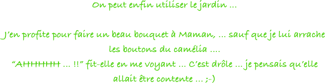 On peut enfin utiliser le jardin ...

J’en profite pour faire un beau bouquet à Maman, ... sauf que je lui arrache les boutons du camélia .... 
“AHHHHH ... !!” fit-elle en me voyant ... C’est drôle ... je pensais qu’elle allait être contente ... ;-)