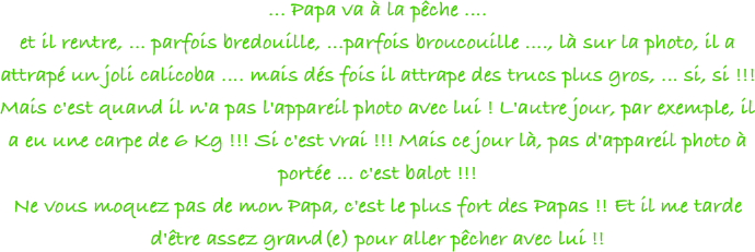 ... Papa va à la pêche .... 
et il rentre, ... parfois bredouille, ...parfois broucouille ...., là sur la photo, il a attrapé un joli calicoba .... mais dés fois il attrape des trucs plus gros, ... si, si !!! Mais c'est quand il n'a pas l'appareil photo avec lui ! L'autre jour, par exemple, il a eu une carpe de 6 Kg !!! Si c'est vrai !!! Mais ce jour là, pas d'appareil photo à portée ... c'est balot !!! 
Ne vous moquez pas de mon Papa, c'est le plus fort des Papas !! Et il me tarde d'être assez grand(e) pour aller pêcher avec lui !! 