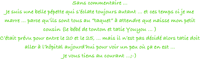 Sans commentaire ... 
Je suis une belle pépette qui s’éclate toujours autant ... et ces temps ci je me marre ... parce qu’ils sont tous au “taquet” à attendre que naisse mon petit cousin (le bébé de tonton et tatie Youyou ... )
C’était prévu pour entre le 20 et le 25, ... mais il n’est pas décidé alors tatie doit aller à l’hôpital aujourd’hui pour voir un peu où ça en est ... 
Je vous tiens au courant ...;-)